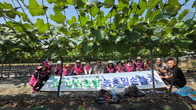 선산농협 농촌일손돕기 대표 이미지