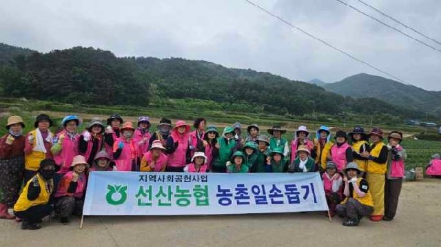 선산농협 농촌일손돕기 대표 이미지