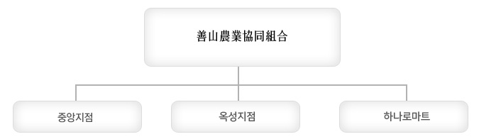 현재의 조직체계