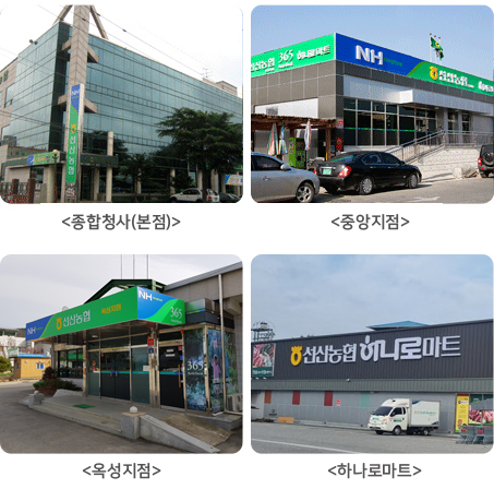 조직체계